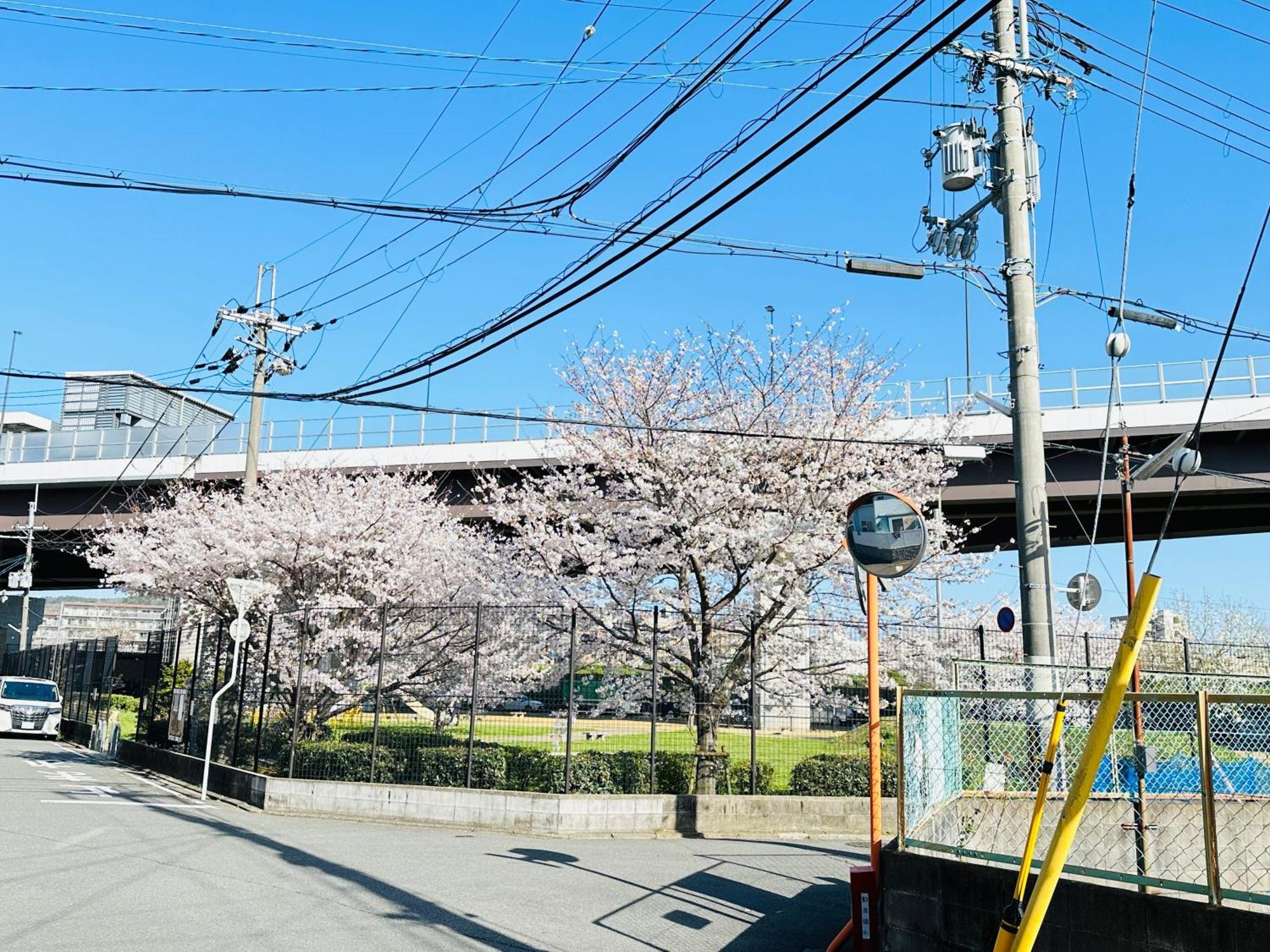 - ki no 宿 ut - 新築 戸建て 最大 7 a まで 宿泊 可能 Tora 街 駅 まで 徒歩 10 分 Kyoto Exteriör bild